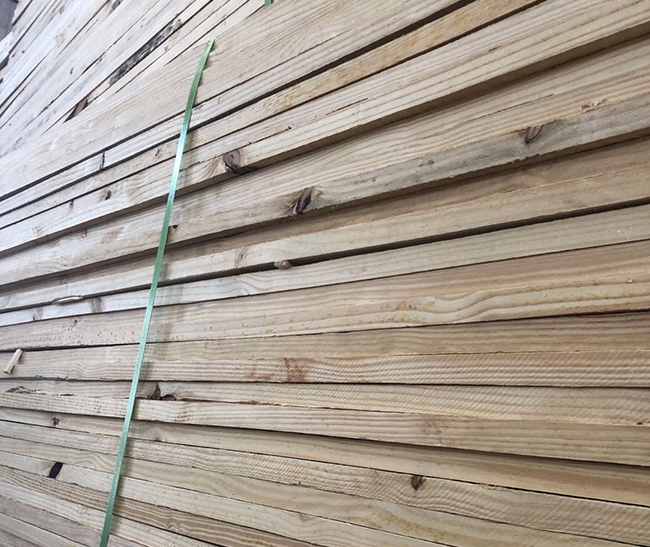 堆龙德庆巴西松